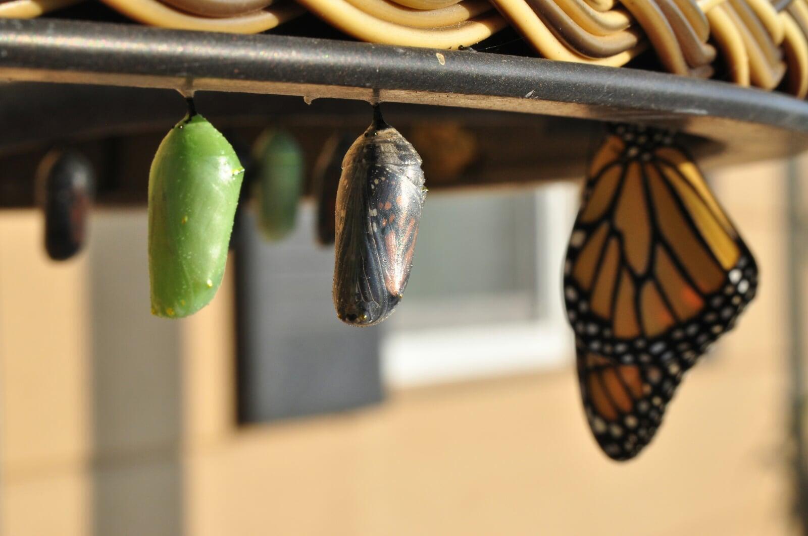 Unlocking Business Efficiency: How Process Improvement Drives Success for Small Businesses